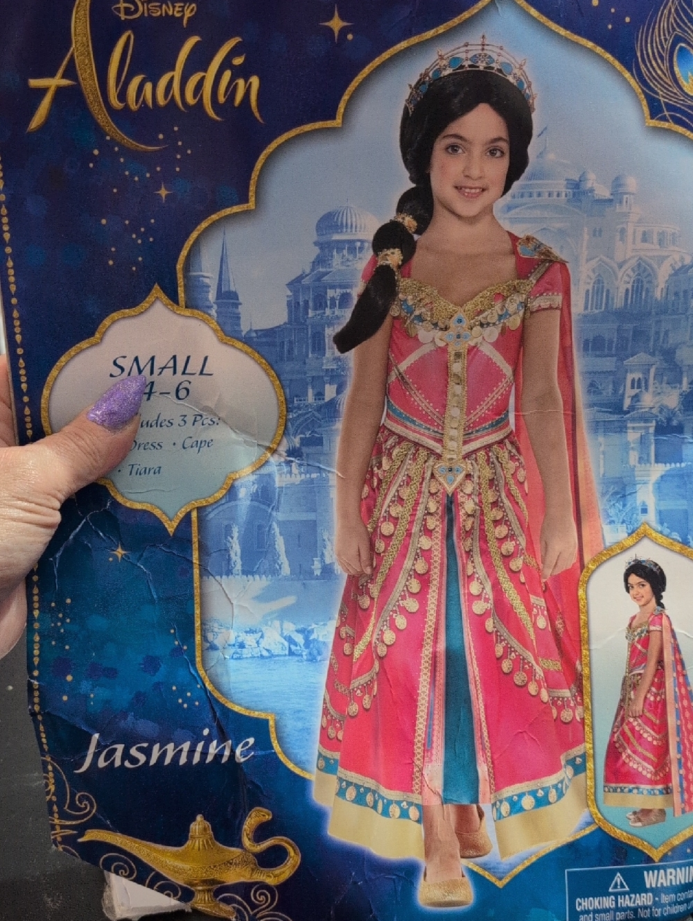 Disney Jasmine Costume in Pink and Turquoise with Gold Trim